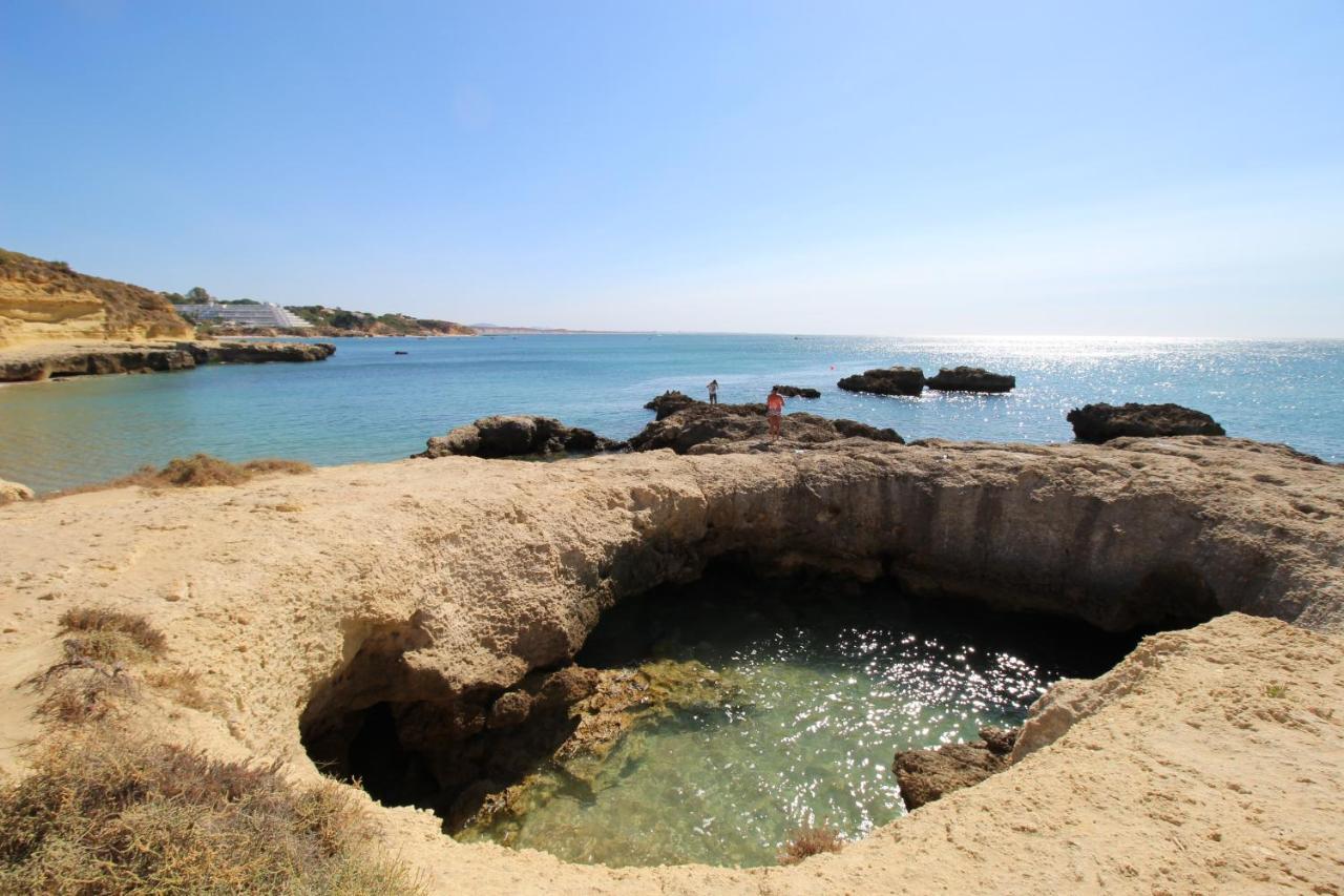 Magnifique Appartement Sur La Plage ... Αλμπουφέιρα Εξωτερικό φωτογραφία